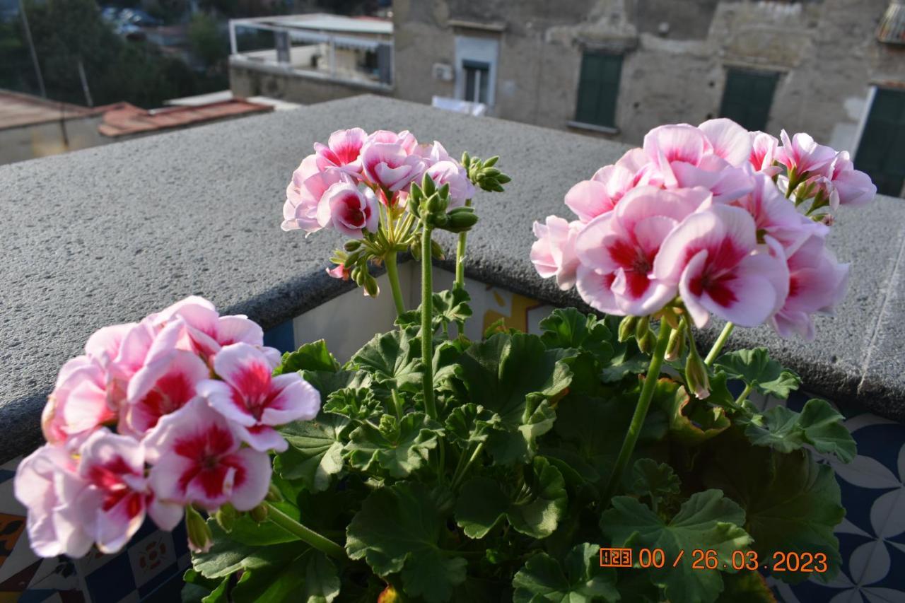 Apartament Casa Materdei Neapol Zewnętrze zdjęcie